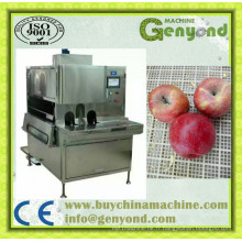 Machine d&#39;épluchage d&#39;éplucheuse de machine d&#39;épluchage de pomme en Chine